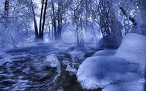 結冰的小溪流過雪林，帶有冰枝 — 夜空 壁紙
