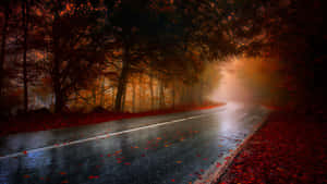 潮濕的秋日道路蜿蜒穿過霧氣瀰漫的森林，伴有紅葉。 — 道路 壁紙