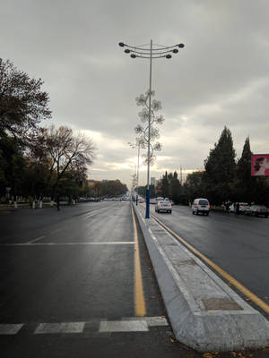 灰色天空下，裝飾性路燈和秋樹的濕潤城市街道。 — 烏茲別克 壁紙