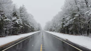 冬季森林中，一條被雪覆蓋的道路兩旁樹木林立，正值下雪。 — 冬季風景 壁紙