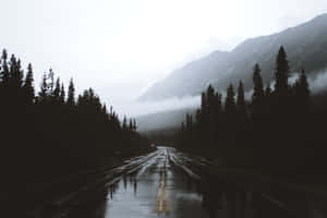 一條雨路蜿蜒穿過霧氣瀰漫的森林，背景是山脈。 — 道路 壁紙