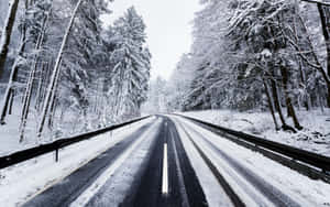 積雪的道路蜿蜒穿過冬季森林，樹木高大。 — 冬季風景 壁紙