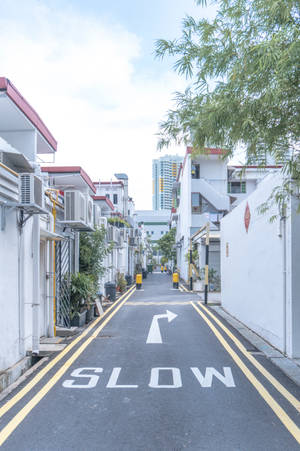 狹窄的城市小巷，白色建築物和黃色道路標記，在明亮的日光下。 — 街頭 壁紙