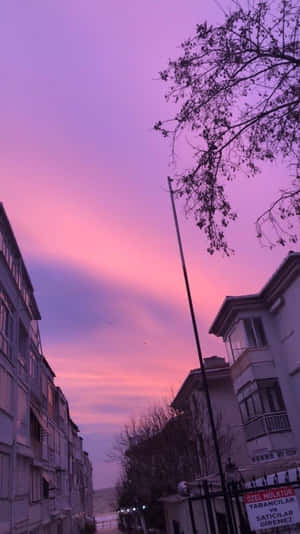 黃昏時分的城市街道，粉紅色和紫色天空，光禿禿的樹枝。 — 暗紫色美學 壁紙