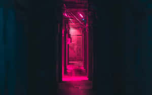 夜晚被粉紅色霓虹燈照亮的一條狹窄小巷。 — 美學粉色GIF 壁紙