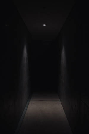 一條昏暗的混凝土走廊，有一盞天花板燈投下陰影。