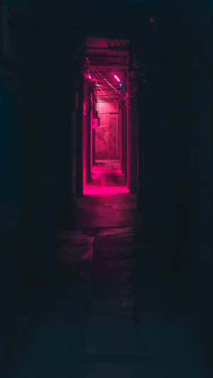 一條狹窄的小巷，夜晚被粉紅色霓虹燈照亮。 — 粉紅閃光 壁紙
