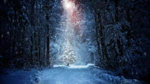 被神奇光束照亮的雪森林小徑。 — 冬季風景 壁紙