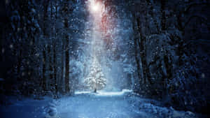 被神奇光束照亮的積雪森林小徑。 — 冬季風景 壁紙