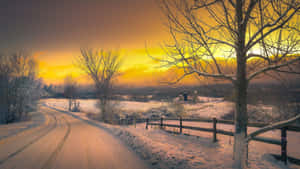 日落時分，白雪覆蓋的道路蜿蜒穿過光禿禿的樹木 — 冬季風景 壁紙