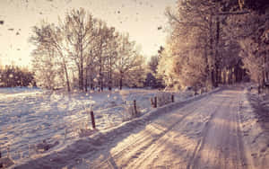 金色日落天空下，結霜樹木排列的白雪鄉村道路，雪花飄落。 — 冬季風景 壁紙