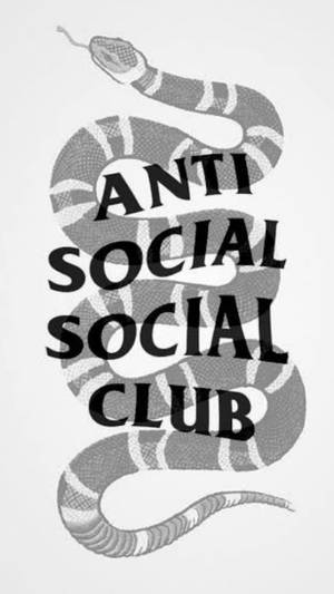 盤繞的蛇圖形，疊加 anti social social club 文字。 — 社群 壁紙