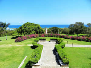 石徑穿過修剪整齊的花園，可眺望海洋 — 草地 壁紙