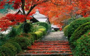 鋪滿紅楓葉的石徑通往被秋葉環繞的日本寺廟。 — 山脈 壁紙