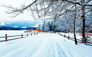 雪徑通往冬季森林中的小屋，背後有山脈。 — 冬季風景 壁紙