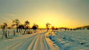 積雪道路蜿蜒穿過冬季田野，金色夕陽 — 冬季風景 壁紙