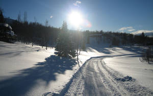 積雪道路蜿蜒穿過冬季森林，陽光燦爛，陰影長長。 — 冬季風景 壁紙