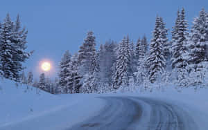 積雪道路蜿蜒穿過松林，滿月下 — 月光 壁紙
