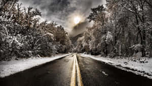 多雲的天空下，兩旁積雪的樹木環繞的冬季道路，陽光隱約可見。 — 冬季風景 壁紙