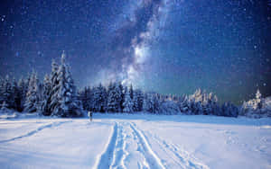 積雪覆蓋的森林小徑，上方是星空，銀河清晰可見。 — 4K 壁紙