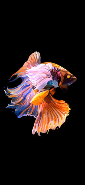 色彩鮮豔的鬥魚，流動魚鰭，黑色背景 — Galaxy A56 壁紙
