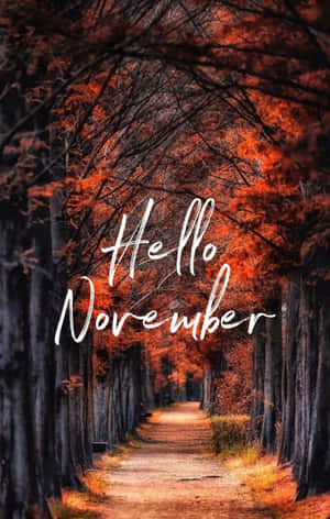 一條森林小徑，兩旁種滿橙色樹木，並有文字 Hello November。 — OnePlus Pad Lite 壁紙