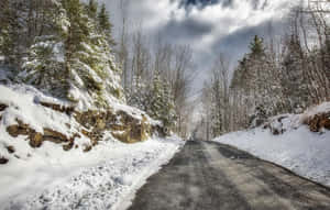 多雲天空下，白雪覆蓋的森林道路蜿蜒穿過冬季樹木 — 道路 壁紙