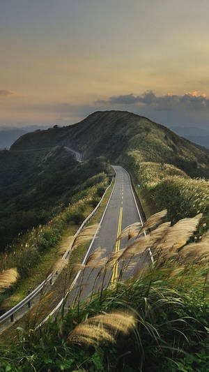 日落時分蜿蜒的山路穿過高高的草叢 — 丘陵景觀 壁紙