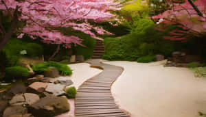 蜿蜒的木棧道穿過日本庭園，有粉紅櫻花和綠色灌木。 — 花園 壁紙