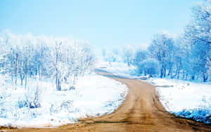 蜿蜒的泥土路穿過白雪皚皚的冬季森林，有霜凍的樹木和清澈的藍天。 — 道路 壁紙