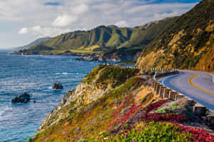 蜿蜒的海岸道路，可欣賞海景，懸崖邊有色彩繽紛的野花 — 道路 壁紙