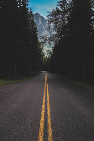 一條帶有黃色標線的陰暗森林道路，在藍天下通向山峰。 — 鄉村道路 壁紙