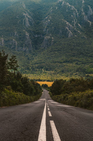 穿過森林覆蓋的山脈的長直路，遠處有黃色的田野。 — 道路 壁紙