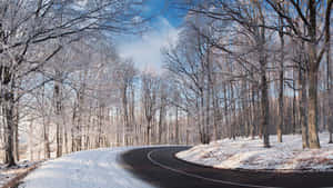 白雪覆蓋的森林道路在清澈的藍天下蜿蜒，樹木上有霜 — 冬季風景 壁紙