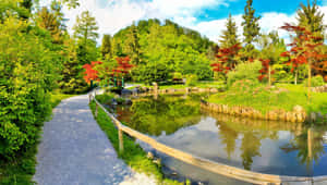 池塘旁的碎石路，樹木和紅葉倒映在水中。 — 花園 壁紙