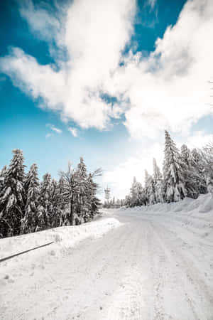 明亮的藍天下，積雪道路蜿蜒穿過冬季森林。 — 2:3 壁紙
