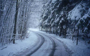 冬季穿過光禿樹木和常青樹的積雪森林道路蜿蜒曲折。 — 道路 壁紙