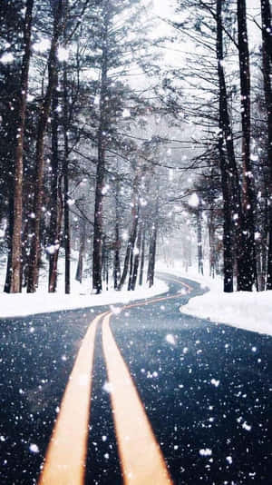 積雪的道路蜿蜒穿過冬季森林，雪花飄落。 — 冬季風景 壁紙