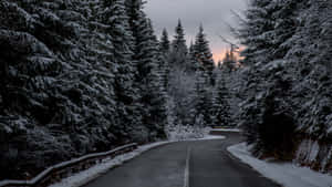 暮色中蜿蜒穿過森林的積雪道路。 — 冬季風景 壁紙