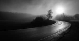 黎明時分，蜿蜒的道路穿過霧氣瀰漫的鄉村，光禿禿的樹木和明亮的陽光。 — 黑夜 壁紙