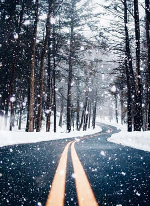 白雪覆蓋的道路蜿蜒穿過松樹林，雪花飄落。 — HMD Terra M 壁紙