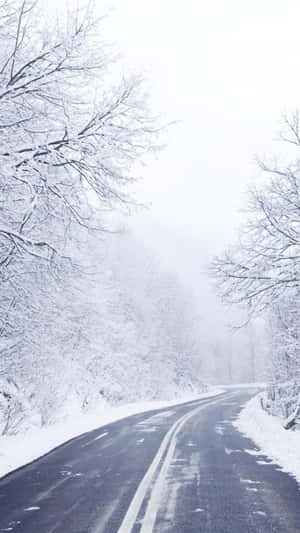 積雪的道路蜿蜒穿過寂靜的冬季森林，樹木光禿。 — 冬季風景 壁紙