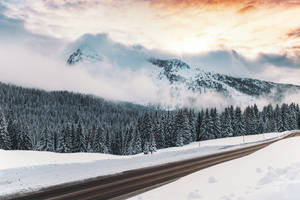 日出時分穿過常綠森林的積雪山路 — 冬季風景 壁紙