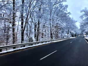 積雪的道路蜿蜒穿過冬日森林，樹木光禿。 — 4:3 壁紙