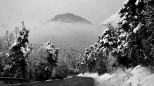 積雪的森林道路蜿蜒通向霧氣繚繞的山峰。 — 冬季風景 壁紙