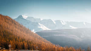 穿過秋林的道路，背景是白雪覆蓋的山峰 — 山脈 壁紙