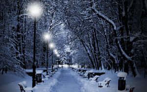 夜間被街燈照亮的雪地公園小徑，長椅被雪覆蓋。 — 酷寒冬季 壁紙