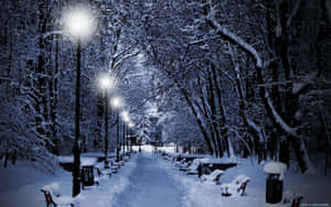 夜晚積雪的公園小徑，發光的街燈和積雪的長椅。 — 美麗的秋天 壁紙