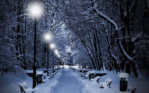 夜晚積雪的公園小徑，發光的街燈和積雪的長椅。 — 冬季風景 壁紙