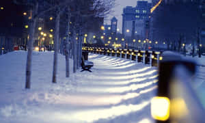 夜晚積雪的城市公園小徑，有發光的路燈和長椅。 — 高對比 壁紙